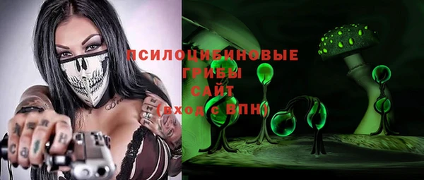 тгк Алексин