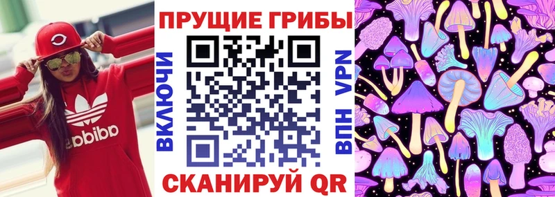 Галлюциногенные грибы прущие грибы маркетплейс наркотические препараты Апшеронск